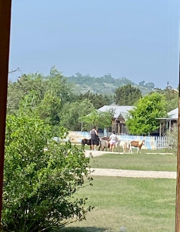 Bed and breakfast On A Hill At Spring Creek