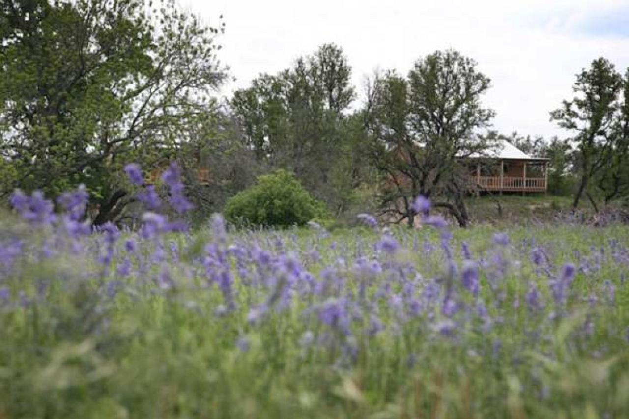 On A Hill At Spring Creek Bed and breakfast Fredericksburg