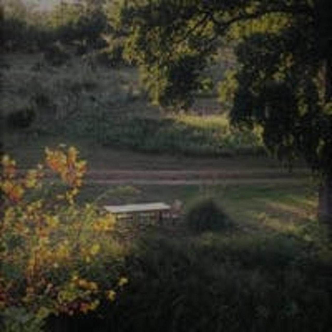 On A Hill At Spring Creek Bed and breakfast 3*