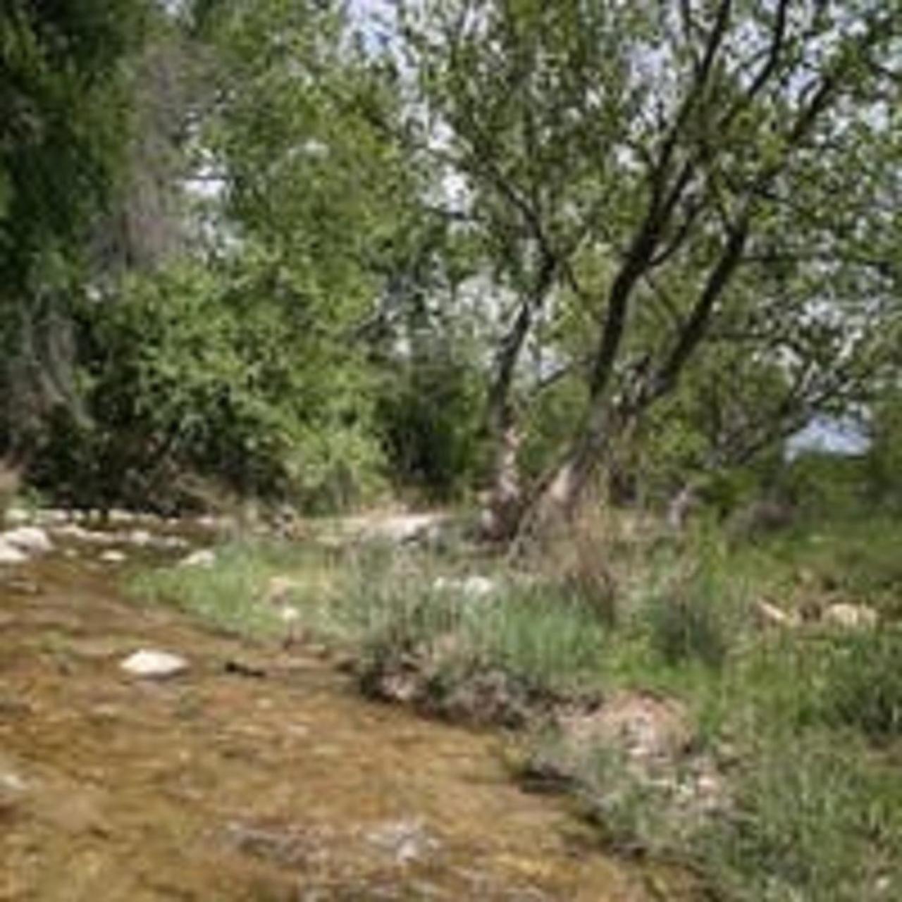 City On A Hill At Spring Creek