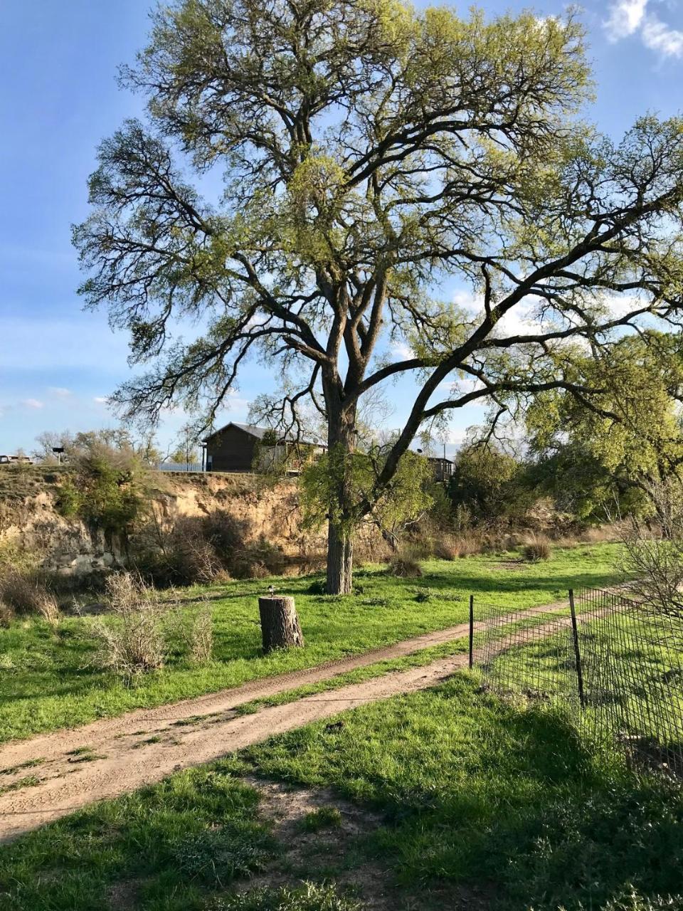 On A Hill At Spring Creek 3*