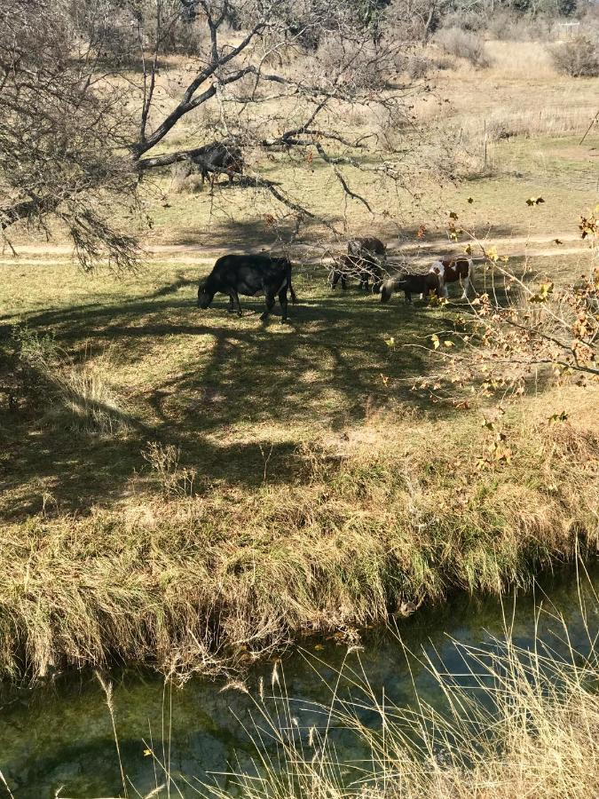 On A Hill At Spring Creek 3*