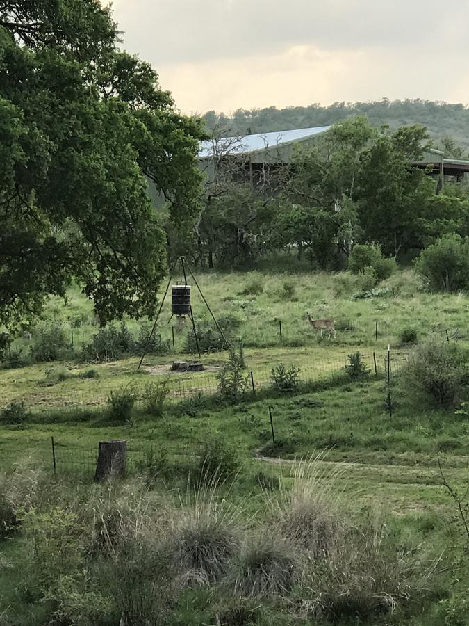 On A Hill At Spring Creek Bed and breakfast 3*