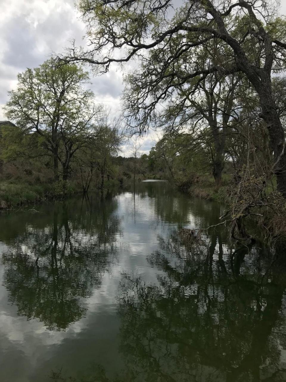 On A Hill At Spring Creek